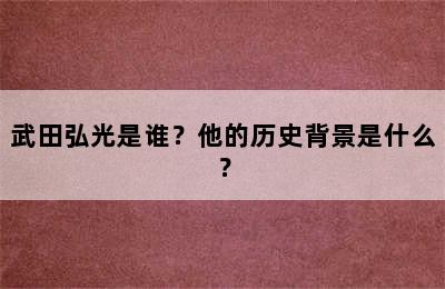 武田弘光是谁？他的历史背景是什么？