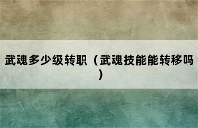 武魂多少级转职（武魂技能能转移吗）