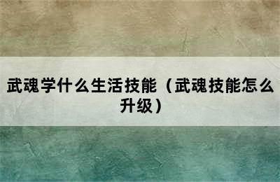 武魂学什么生活技能（武魂技能怎么升级）