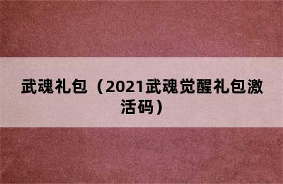 武魂礼包（2021武魂觉醒礼包激活码）