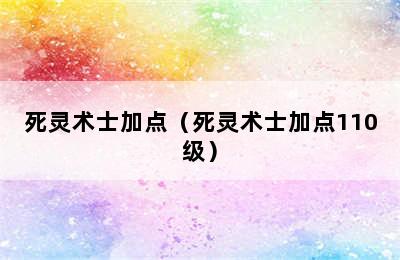 死灵术士加点（死灵术士加点110级）