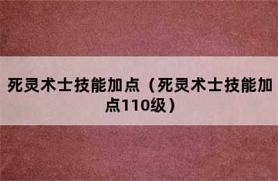 死灵术士技能加点（死灵术士技能加点110级）