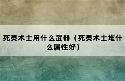 死灵术士用什么武器（死灵术士堆什么属性好）