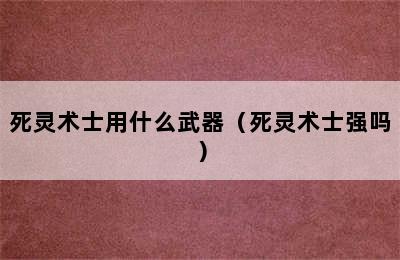 死灵术士用什么武器（死灵术士强吗）