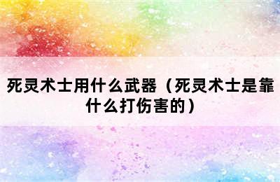 死灵术士用什么武器（死灵术士是靠什么打伤害的）