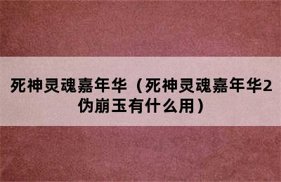 死神灵魂嘉年华（死神灵魂嘉年华2伪崩玉有什么用）