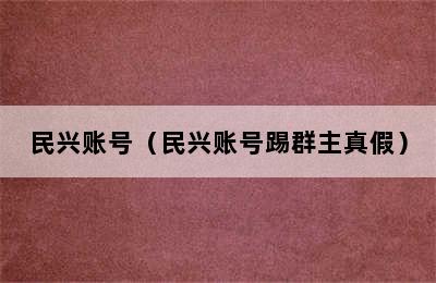 民兴账号（民兴账号踢群主真假）