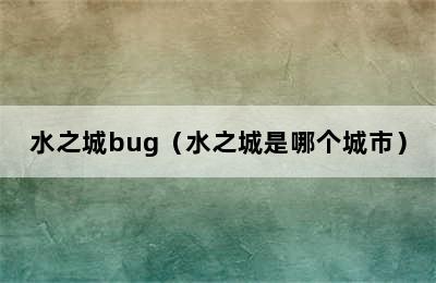 水之城bug（水之城是哪个城市）