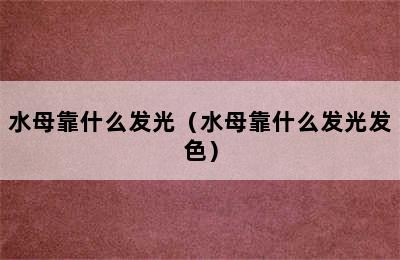 水母靠什么发光（水母靠什么发光发色）