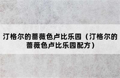 汀格尔的蔷薇色卢比乐园（汀格尔的蔷薇色卢比乐园配方）