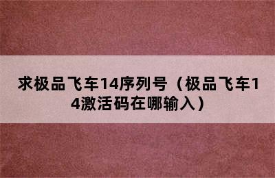 求极品飞车14序列号（极品飞车14激活码在哪输入）