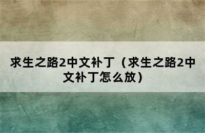 求生之路2中文补丁（求生之路2中文补丁怎么放）