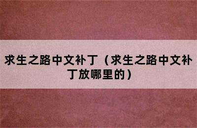 求生之路中文补丁（求生之路中文补丁放哪里的）