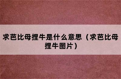 求芭比母捏牛是什么意思（求芭比母捏牛图片）