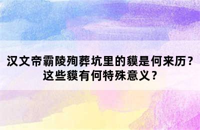 汉文帝霸陵殉葬坑里的貘是何来历？这些貘有何特殊意义？