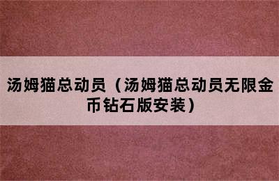 汤姆猫总动员（汤姆猫总动员无限金币钻石版安装）