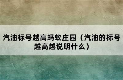 汽油标号越高蚂蚁庄园（汽油的标号越高越说明什么）