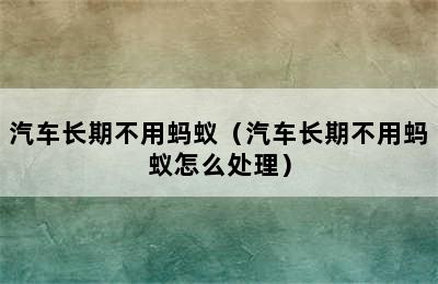 汽车长期不用蚂蚁（汽车长期不用蚂蚁怎么处理）