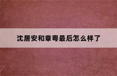 沈居安和章粤最后怎么样了