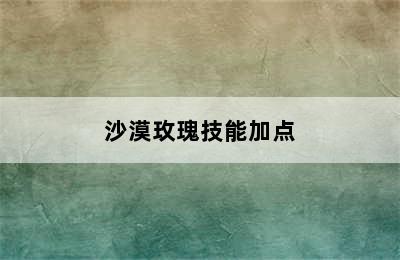 沙漠玫瑰技能加点