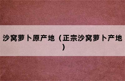 沙窝萝卜原产地（正宗沙窝萝卜产地）