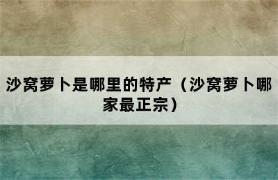 沙窝萝卜是哪里的特产（沙窝萝卜哪家最正宗）