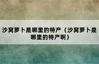 沙窝萝卜是哪里的特产（沙窝萝卜是哪里的特产啊）