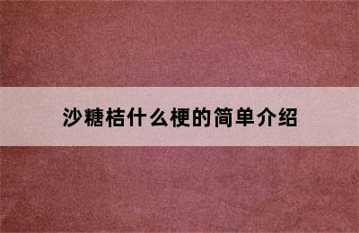 沙糖桔什么梗的简单介绍