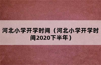 河北小学开学时间（河北小学开学时间2020下半年）