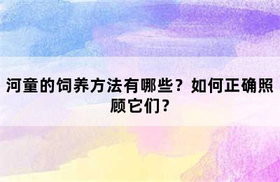 河童的饲养方法有哪些？如何正确照顾它们？