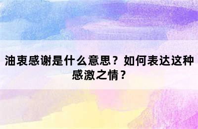 油衷感谢是什么意思？如何表达这种感激之情？