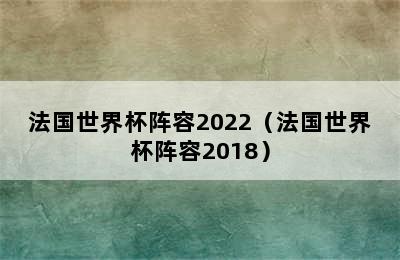 法国世界杯阵容2022（法国世界杯阵容2018）