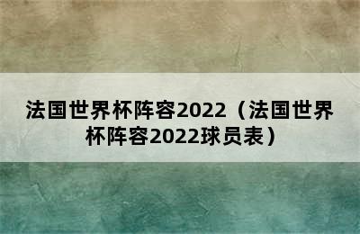 法国世界杯阵容2022（法国世界杯阵容2022球员表）