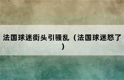 法国球迷街头引骚乱（法国球迷怒了）