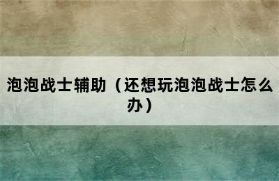 泡泡战士辅助（还想玩泡泡战士怎么办）