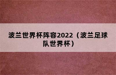 波兰世界杯阵容2022（波兰足球队世界杯）