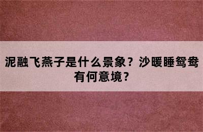 泥融飞燕子是什么景象？沙暖睡鸳鸯有何意境？