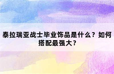 泰拉瑞亚战士毕业饰品是什么？如何搭配最强大？