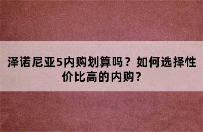 泽诺尼亚5内购划算吗？如何选择性价比高的内购？