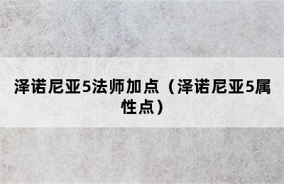 泽诺尼亚5法师加点（泽诺尼亚5属性点）