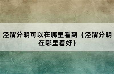 泾渭分明可以在哪里看到（泾渭分明在哪里看好）