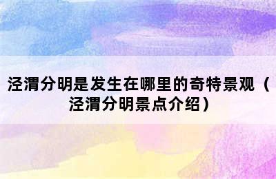 泾渭分明是发生在哪里的奇特景观（泾渭分明景点介绍）