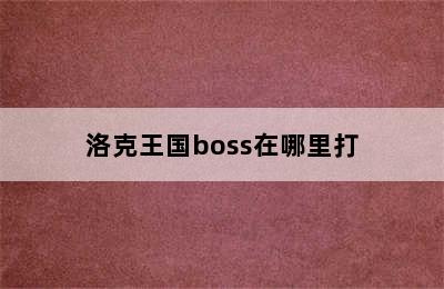 洛克王国boss在哪里打