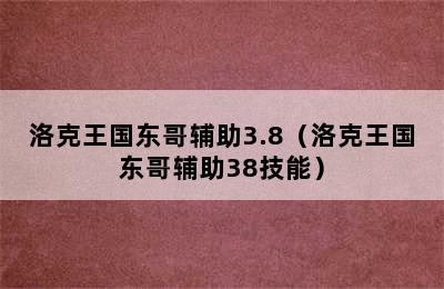 洛克王国东哥辅助3.8（洛克王国东哥辅助38技能）