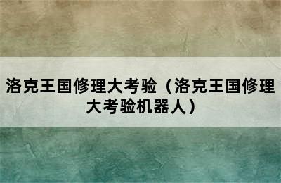 洛克王国修理大考验（洛克王国修理大考验机器人）