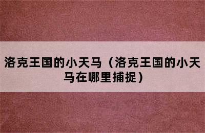 洛克王国的小天马（洛克王国的小天马在哪里捕捉）