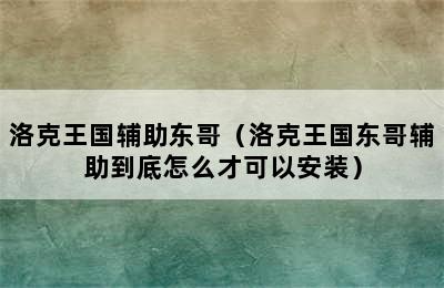 洛克王国辅助东哥（洛克王国东哥辅助到底怎么才可以安装）