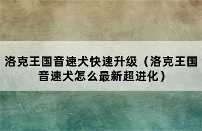 洛克王国音速犬快速升级（洛克王国音速犬怎么最新超进化）