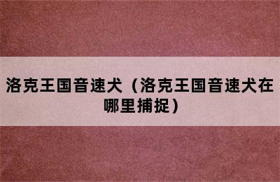 洛克王国音速犬（洛克王国音速犬在哪里捕捉）