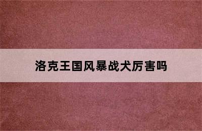 洛克王国风暴战犬厉害吗